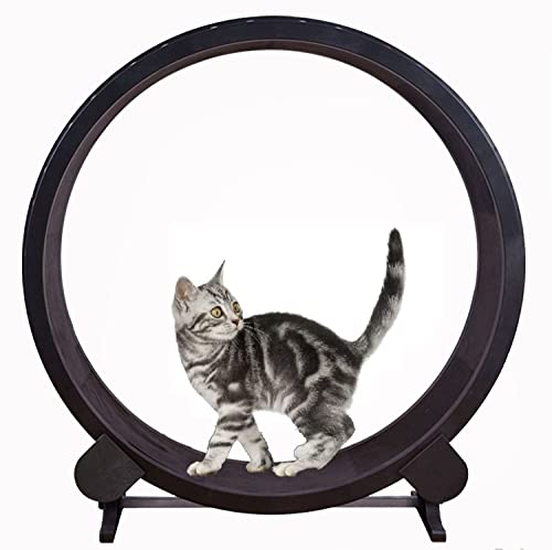 Laufband für Katzen, Laufspielzeug für Haustiere, geräuschloses Laufband für Katzen mit sanftem Lauf Laufband für Katzen, Laufspielzeug für Haustiere, geräuschloses Laufband für Katzen mit sanftem Lauf von DRYIC