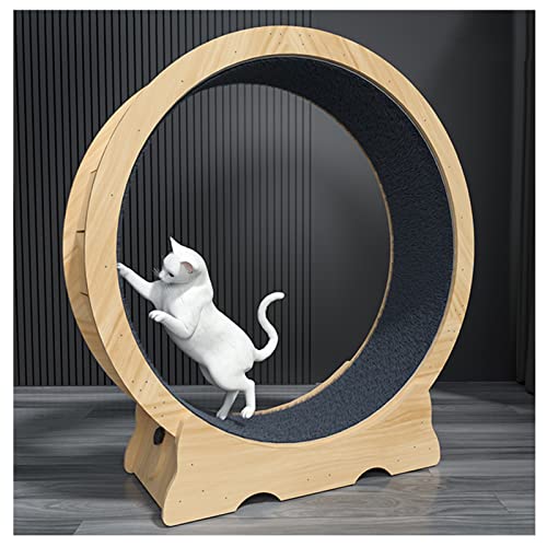 Laufband für kleine/mittelgroße/große Katzen, Laufrad mit Bremse, auswechselbare Laufbahn mit Teppichboden Laufband für kleine/mittelgroße/große Katzen, Laufrad mit Bremse, auswechselbare Laufbahn mit Teppichboden von DRYIC