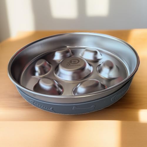 DS.PETTING Langsamer Futternapf mit rutschfester Matte, für Hunde und Katzen, 304 Edelstahl, Metall-Futternäpfe für mittelgroße Rassen von DS.PETTING