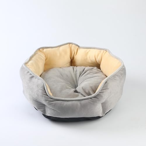 DSAoTeng Haustierbett mit abnehmbarem Kissen, flauschiges Katzen- und Hundebett mit weicher Seitenstütze, gemütliches Nest für den Innenbereich, doppelseitig, für kleine Hunde, Welpen, Kätzchen, alle DSAoTeng Haustierbett mit abnehmbarem Kissen, flauschiges Katzen- und Hundebett mit weicher Seitenstütze, gemütliches Nest für den Innenbereich, doppelseitig, für kleine Hunde, Welpen, Kätzchen, alle von DSAoTeng