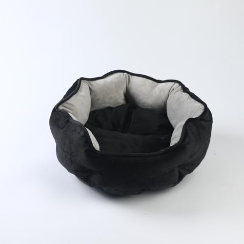 DSAoTeng Haustierbett mit abnehmbarem Kissen, flauschiges Katzen- und Hundebett mit weicher Seitenstütze, gemütliches Nest für den Innenbereich, doppelseitig, für kleine Hunde, Welpen, Kätzchen, alle DSAoTeng Haustierbett mit abnehmbarem Kissen, flauschiges Katzen- und Hundebett mit weicher Seitenstütze, gemütliches Nest für den Innenbereich, doppelseitig, für kleine Hunde, Welpen, Kätzchen, alle von DSAoTeng