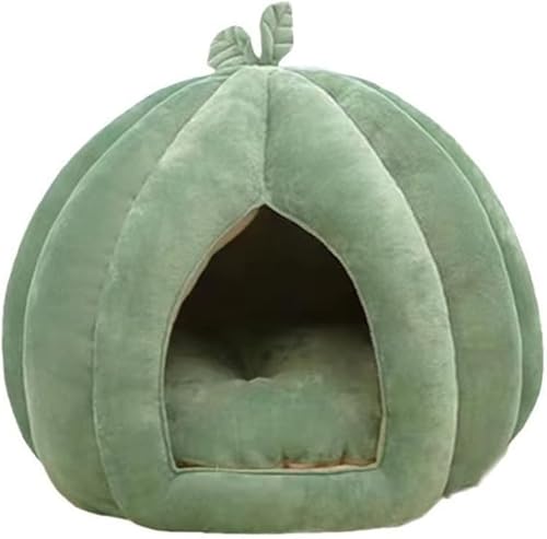 Katzenhöhlenbett mit abnehmbarem Kissen, für alle Jahreszeiten, gemütlicher Samt, Kürbis-Stil, halbgeschlossenes Haustierzelt, Bett, weich, warm, waschbar, Nest für kleine Hunde, kleine Tiere im Katzenhöhlenbett mit abnehmbarem Kissen, für alle Jahreszeiten, gemütlicher Samt, Kürbis-Stil, halbgeschlossenes Haustierzelt, Bett, weich, warm, waschbar, Nest für kleine Hunde, kleine Tiere im von DSAoTeng