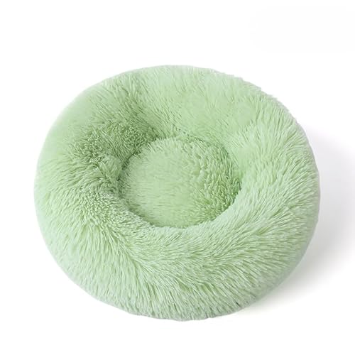 Rundes flauschiges Haustierbett – weiches beruhigendes Donut-Bett, warmes, pelziges PP-Baumwoll-Füllungskissen, selbstwärmendes Komfortnest für kleine Hunde, Katzen, für den Innenbereich Rundes flauschiges Haustierbett – weiches beruhigendes Donut-Bett, warmes, pelziges PP-Baumwoll-Füllungskissen, selbstwärmendes Komfortnest für kleine Hunde, Katzen, für den Innenbereich von DSAoTeng