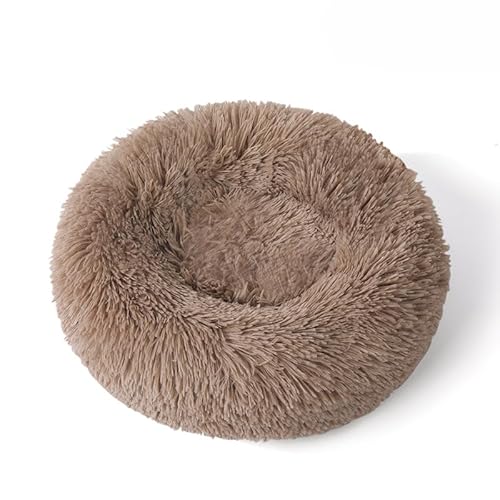 Rundes flauschiges Haustierbett – weiches beruhigendes Donut-Bett, warmes, pelziges PP-Baumwoll-Füllungskissen, selbstwärmendes Komfortnest für kleine Hunde, Katzen, für den Innenbereich Rundes flauschiges Haustierbett – weiches beruhigendes Donut-Bett, warmes, pelziges PP-Baumwoll-Füllungskissen, selbstwärmendes Komfortnest für kleine Hunde, Katzen, für den Innenbereich von DSAoTeng
