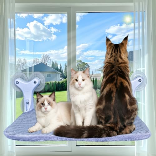 Katzen-Fensterstange mit 6 starken Saugnäpfen, zusammenklappbare Katzenhängematte, solides Katzenbett, verdickter Metallrahmen, hält 25 kg, doppelseitig waschbare Matte, geeignet für alle vier Katzen-Fensterstange mit 6 starken Saugnäpfen, zusammenklappbare Katzenhängematte, solides Katzenbett, verdickter Metallrahmen, hält 25 kg, doppelseitig waschbare Matte, geeignet für alle vier von DSCANDYMQ