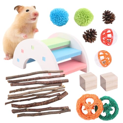 Hamster-Kauspielzeug, 21 Stück/Set, Hamsterspielzeug-Set, Mundpflege, gesunder Beißring, für Chinchillas, Rennmäuse, Mäuse, Ratten, Maus, Kaninchen, Hasenversteck Wippe von DSOPV