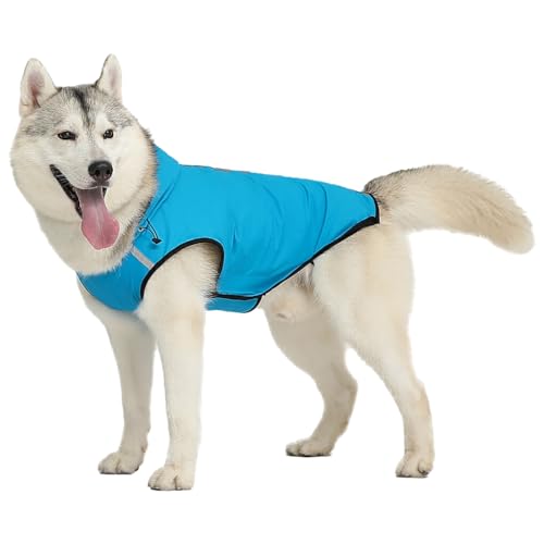DSOUWEH Hund stilvoll und trocken mit wasserdichtem Hunderegenmantel, verstellbarem Kapuzenponcho, einfach anzuziehen, gut sichtbaren Streifen, Blau, 3XL von DSOUWEH
