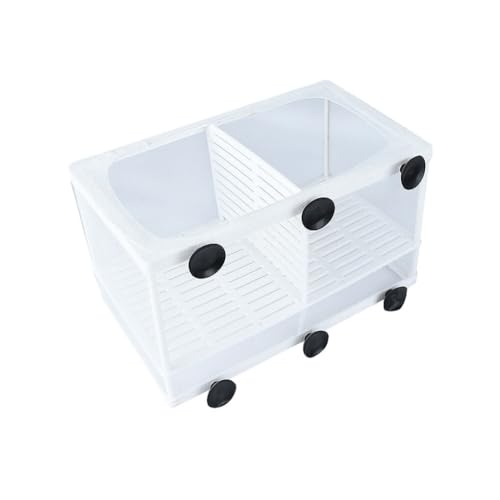 DSOUWEH Multifunktionale Fischzucht Isolationsbox für Aquarien – einfach zu montierende und ungiftige Aquarium Fischbrut Zuchtbox, 26 * 15.5 * 15cm DSOUWEH Multifunktionale Fischzucht Isolationsbox für Aquarien – einfach zu montierende und ungiftige Aquarium Fischbrut Zuchtbox, 26 * 15.5 * 15cm von DSOUWEH