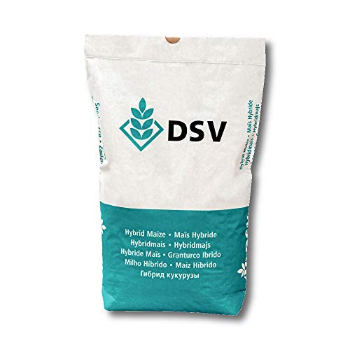 Rotklee 25 kg Einzelsaatgut Klee Saatgut Einzelsaaten Leguminosen Rotklee 25 kg Einzelsaatgut Klee Saatgut Einzelsaaten Leguminosen von DSV
