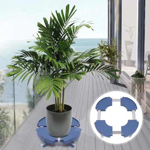 DSYOGX Pflanzkasten Rolluntersetzer Geräten Bewegen mit Rädern Pflanzenroller Ø 17.5-36cm Blumenroller Rollbrett für Aufstellen und Bewegen von Topfpflanzen, Geräten, Bis 400kg DSYOGX Pflanzkasten Rolluntersetzer Geräten Bewegen mit Rädern Pflanzenroller Ø 17.5-36cm Blumenroller Rollbrett für Aufstellen und Bewegen von Topfpflanzen, Geräten, Bis 400kg von DSYOGX