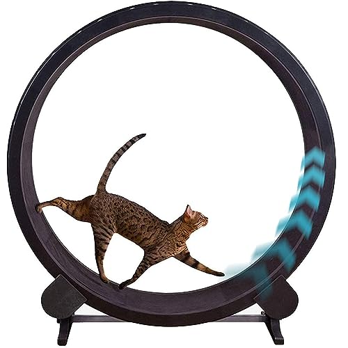 Roller Cat Laufrad, Treadmill Ferris Wheel Möbel für Haustiere, Fitnessgerät zum Abnehmen, Sportspielzeug für Katzen, für ein längeres Leben der Katze Roller Cat Laufrad, Treadmill Ferris Wheel Möbel für Haustiere, Fitnessgerät zum Abnehmen, Sportspielzeug für Katzen, für ein längeres Leben der Katze von DSYYNAY