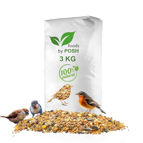 3kg Streufutter Wildvögelfutter Vogelfutter 4 Jahreszeiten Premium Mischung (3KG) von DTP-SOFT
