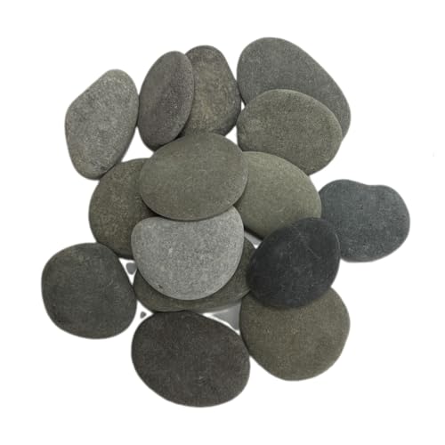 15 Stück Flache Steine Zum Bemalen, 4-6cm Glatte Große Kieselsteine, Einzigartige Glatte Kieselsteine für Garten Kunst DIY Handwerk Dekor, Natürliche Flusssteine Zum Malen von DTREEL