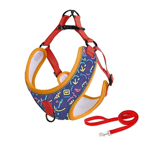Atmungsaktives, Bequemes Hundegeschirr Und Leine-Set Für Den Außenbereich, Hundegeschirr Mit Bedrucktem Muster, Verstellbar, Kein Ziehen, Hundegeschirr Und Leine-Set Für Chihuahua, Mops,C,L Atmungsaktives, Bequemes Hundegeschirr Und Leine-Set Für Den Außenbereich, Hundegeschirr Mit Bedrucktem Muster, Verstellbar, Kein Ziehen, Hundegeschirr Und Leine-Set Für Chihuahua, Mops,C,L von DTREEL