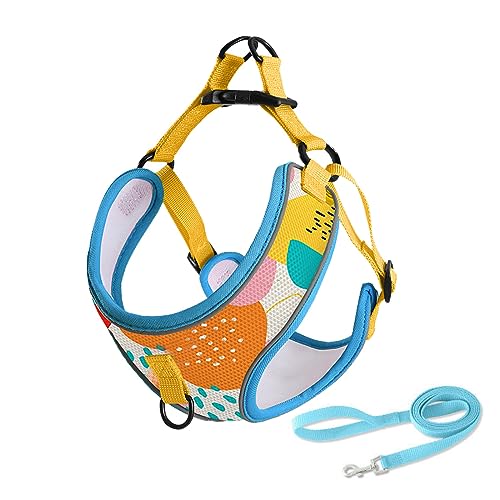 Atmungsaktives, Bequemes Hundegeschirr Und Leine-Set Für Den Außenbereich, Hundegeschirr Mit Bedrucktem Muster, Verstellbar, Kein Ziehen, Hundegeschirr Und Leine-Set Für Chihuahua, Mops,F,S Atmungsaktives, Bequemes Hundegeschirr Und Leine-Set Für Den Außenbereich, Hundegeschirr Mit Bedrucktem Muster, Verstellbar, Kein Ziehen, Hundegeschirr Und Leine-Set Für Chihuahua, Mops,F,S von DTREEL