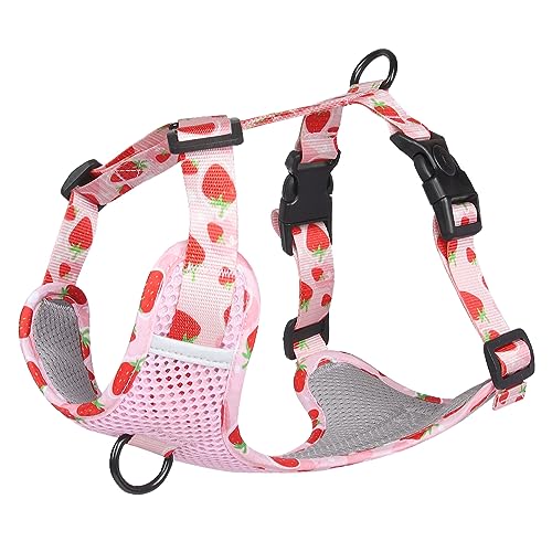 Atmungsaktives Mesh-Hundegeschirr Mit Fruchtdruck, Verstellbarer Brustgurt Für Hunde, Outdoor-Hundetraining, Camping, Jagd, Nylongeschirr Für Labrador, Bulldogge, Chihuahua,B,M Atmungsaktives Mesh-Hundegeschirr Mit Fruchtdruck, Verstellbarer Brustgurt Für Hunde, Outdoor-Hundetraining, Camping, Jagd, Nylongeschirr Für Labrador, Bulldogge, Chihuahua,B,M von DTREEL