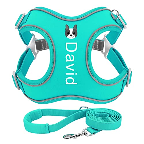 Benutzerdefinierter Druck Mit Kosenamen Für Hunde Und Katzen, Muster Für Haustiergeschirr, Leine-Set, Personalisiertes Hundegeschirr, Leine-Set Für Den Außenbereich, Reflektierendes Hundeges von DTREEL