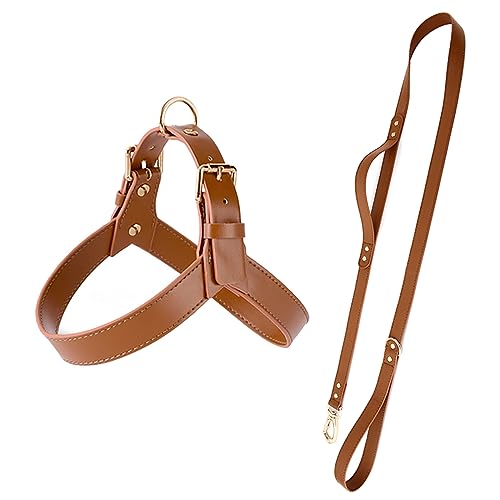 Echtes Leder-Hundegeschirr Und Leine-Set, Verstellbares Hundegeschirr Und Leine-Set, Outdoor, Camping, Jagd, Hundetrainingsgeschirr Für Chihuahua, Mops,Braun,XL von DTREEL