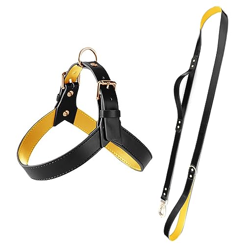 Echtes Leder-Hundegeschirr Und Leine-Set, Verstellbares Hundegeschirr Und Leine-Set, Outdoor, Camping, Jagd, Hundetrainingsgeschirr Für Chihuahua, Mops,Schwarz,L von DTREEL