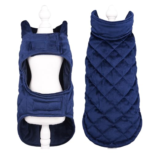 Herbst Und Winter Warme Hundekleidung, Modisches Haustier, Verdickter, Warmer Samt-Hundemantel, Outdoor, Winddicht, Hundejacke, Chihuahua, Mops, Labrador, Mantel, Weste,D,M Herbst Und Winter Warme Hundekleidung, Modisches Haustier, Verdickter, Warmer Samt-Hundemantel, Outdoor, Winddicht, Hundejacke, Chihuahua, Mops, Labrador, Mantel, Weste,D,M von DTREEL