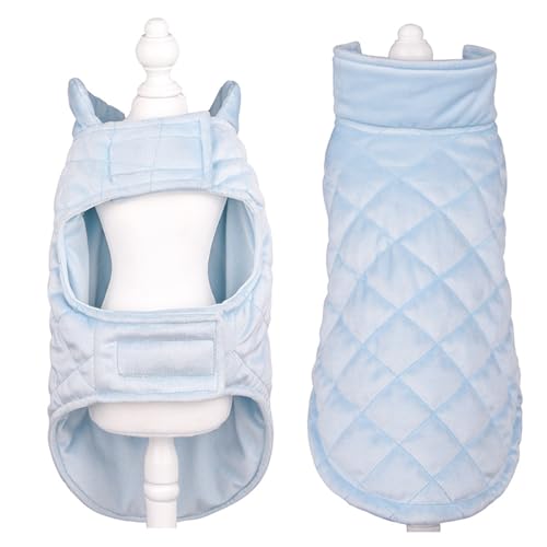 Herbst Und Winter Warme Hundekleidung, Modisches Haustier, Verdickter, Warmer Samt-Hundemantel, Outdoor, Winddicht, Hundejacke, Chihuahua, Mops, Labrador, Mantel, Weste,G,M Herbst Und Winter Warme Hundekleidung, Modisches Haustier, Verdickter, Warmer Samt-Hundemantel, Outdoor, Winddicht, Hundejacke, Chihuahua, Mops, Labrador, Mantel, Weste,G,M von DTREEL