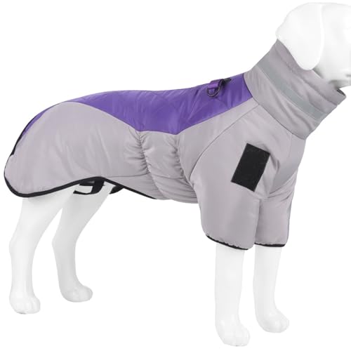 Herbst Winter Warme Hundemantel Kleidung Outdoor Wasserdicht Winddicht Haustier Jacke Reflektierende Hundebekleidung Hosenträger Weste Für Chihuahua Mops Labrador Schäferhund, Purple,6XL von DTREEL