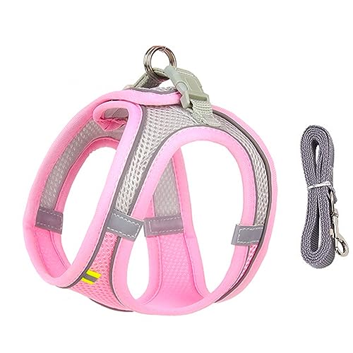 Hundegeschirr-Leine-Set Für Kleine Hunde, Verstellbares Geschirr, Atmungsaktives, Langlebiges Nylon, Haustiergeschirr, Hunde- Und Katzengeschirr, Weste, Französische Bulldogge, Chihuahua, Mo von DTREEL