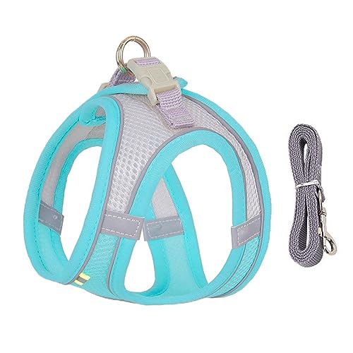 Hundegeschirr-Leine-Set Für Kleine Hunde, Verstellbares Geschirr, Atmungsaktives, Langlebiges Nylon, Haustiergeschirr, Hunde- Und Katzengeschirr, Weste, Französische Bulldogge, Chihuahua, Mo Hundegeschirr-Leine-Set Für Kleine Hunde, Verstellbares Geschirr, Atmungsaktives, Langlebiges Nylon, Haustiergeschirr, Hunde- Und Katzengeschirr, Weste, Französische Bulldogge, Chihuahua, Mo von DTREEL
