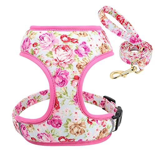 Hundegeschirr Und Leine Aus Nylon Mit Blumendruck, Set Für Haustiere, Atmungsaktiv, Für Hunde Und Katzen, Weste, Outdoor-Trainingsgeschirr Für Kleine Bis Mittelgroße Hunde Und Katzen,Rosa Se Hundegeschirr Und Leine Aus Nylon Mit Blumendruck, Set Für Haustiere, Atmungsaktiv, Für Hunde Und Katzen, Weste, Outdoor-Trainingsgeschirr Für Kleine Bis Mittelgroße Hunde Und Katzen,Rosa Se von DTREEL
