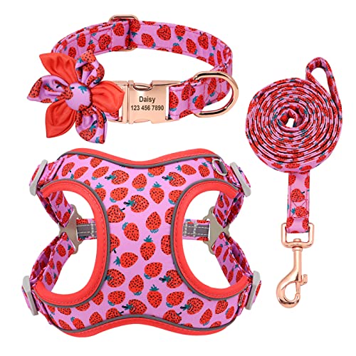 Individuell Gravierter Druck, Hundehalsband, Leine, Geschirr-Set, Personalisiertes Haustier-Hundehalsband, Sicherheitsgurt, Leine-Set, Obstmuster, Verstellbares Hundegeschirr Für Mittelgroße von DTREEL