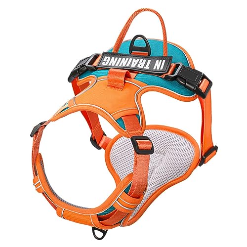 Militärisches Taktisches, Verstellbares, Robustes Nylon-Hundegeschirr, Leine, Halsband-Set, Kein Ziehen, Haustiergeschirr, Weste, Outdoor-Hundetraining, Geschirr, Leine, Halsband-Set Für Kle Militärisches Taktisches, Verstellbares, Robustes Nylon-Hundegeschirr, Leine, Halsband-Set, Kein Ziehen, Haustiergeschirr, Weste, Outdoor-Hundetraining, Geschirr, Leine, Halsband-Set Für Kle von DTREEL