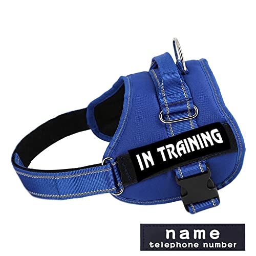 Militärisches Taktisches Hundegeschirr Aus Strapazierfähigem Nylon, Personalisiertes, Atmungsaktives Hundegeschirr, Individuelles ID-Haustiergeschirr, Reflektierendes Hundetrainingsgeschirr Militärisches Taktisches Hundegeschirr Aus Strapazierfähigem Nylon, Personalisiertes, Atmungsaktives Hundegeschirr, Individuelles ID-Haustiergeschirr, Reflektierendes Hundetrainingsgeschirr von DTREEL