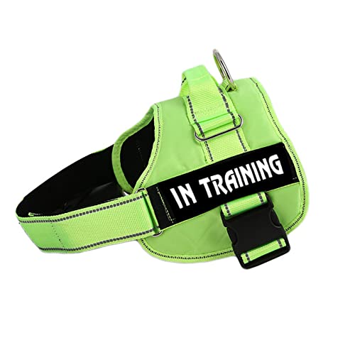 Militärisches Taktisches Hundegeschirr Aus Strapazierfähigem Nylon, Personalisiertes, Atmungsaktives Hundegeschirr, Individuelles ID-Haustiergeschirr, Reflektierendes Hundetrainingsgeschirr Militärisches Taktisches Hundegeschirr Aus Strapazierfähigem Nylon, Personalisiertes, Atmungsaktives Hundegeschirr, Individuelles ID-Haustiergeschirr, Reflektierendes Hundetrainingsgeschirr von DTREEL