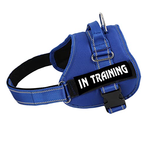 Militärisches Taktisches Hundegeschirr Aus Strapazierfähigem Nylon, Personalisiertes, Atmungsaktives Hundegeschirr, Individuelles ID-Haustiergeschirr, Reflektierendes Hundetrainingsgeschirr Militärisches Taktisches Hundegeschirr Aus Strapazierfähigem Nylon, Personalisiertes, Atmungsaktives Hundegeschirr, Individuelles ID-Haustiergeschirr, Reflektierendes Hundetrainingsgeschirr von DTREEL