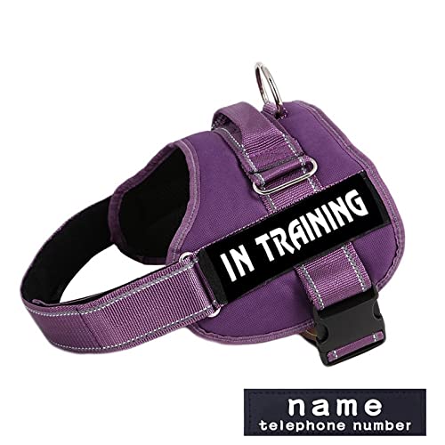 Militärisches Taktisches Hundegeschirr Aus Strapazierfähigem Nylon, Personalisiertes, Atmungsaktives Hundegeschirr, Individuelles ID-Haustiergeschirr, Reflektierendes Hundetrainingsgeschirr Militärisches Taktisches Hundegeschirr Aus Strapazierfähigem Nylon, Personalisiertes, Atmungsaktives Hundegeschirr, Individuelles ID-Haustiergeschirr, Reflektierendes Hundetrainingsgeschirr von DTREEL