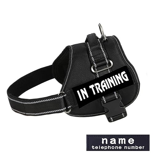 Militärisches Taktisches Hundegeschirr Aus Strapazierfähigem Nylon, Personalisiertes, Atmungsaktives Hundegeschirr, Individuelles ID-Haustiergeschirr, Reflektierendes Hundetrainingsgeschirr Militärisches Taktisches Hundegeschirr Aus Strapazierfähigem Nylon, Personalisiertes, Atmungsaktives Hundegeschirr, Individuelles ID-Haustiergeschirr, Reflektierendes Hundetrainingsgeschirr von DTREEL