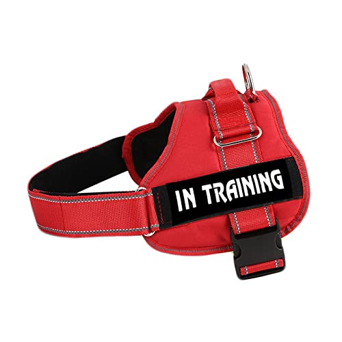 Militärisches Taktisches Hundegeschirr Aus Strapazierfähigem Nylon, Personalisiertes, Atmungsaktives Hundegeschirr, Individuelles ID-Haustiergeschirr, Reflektierendes Hundetrainingsgeschirr Militärisches Taktisches Hundegeschirr Aus Strapazierfähigem Nylon, Personalisiertes, Atmungsaktives Hundegeschirr, Individuelles ID-Haustiergeschirr, Reflektierendes Hundetrainingsgeschirr von DTREEL