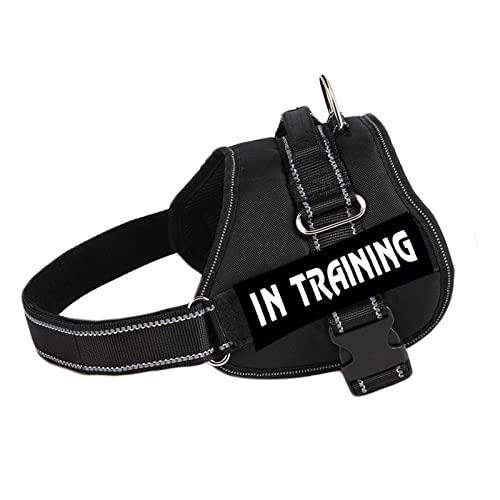 Militärisches Taktisches Hundegeschirr Aus Strapazierfähigem Nylon, Personalisiertes, Atmungsaktives Hundegeschirr, Individuelles ID-Haustiergeschirr, Reflektierendes Hundetrainingsgeschirr Militärisches Taktisches Hundegeschirr Aus Strapazierfähigem Nylon, Personalisiertes, Atmungsaktives Hundegeschirr, Individuelles ID-Haustiergeschirr, Reflektierendes Hundetrainingsgeschirr von DTREEL