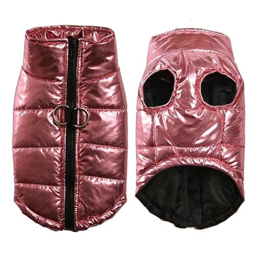 Outdoor Wind- Und Wasserdicht, Weich Und Bequem, Große Hundejacke, Weste, Herbst Und Winter, Verdickter Warmer Haustiermantel, Chihuahua, Mops, Französische Bulldogge, Labrador-Jacke,C,M Outdoor Wind- Und Wasserdicht, Weich Und Bequem, Große Hundejacke, Weste, Herbst Und Winter, Verdickter Warmer Haustiermantel, Chihuahua, Mops, Französische Bulldogge, Labrador-Jacke,C,M von DTREEL