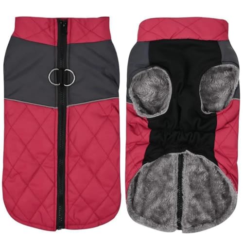 Outdoor Wind- Und Wasserdicht Haustiermantel Weste Winter Warme Haustierjacke Kleidung Haustier Skibekleidung Kleidung Chihuahua Mops Labrador Französische Bulldogge Mantel,Rot,L Outdoor Wind- Und Wasserdicht Haustiermantel Weste Winter Warme Haustierjacke Kleidung Haustier Skibekleidung Kleidung Chihuahua Mops Labrador Französische Bulldogge Mantel,Rot,L von DTREEL