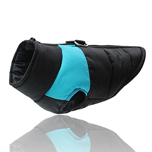 Outdoor wasserdichte Und Winddichte Hundekleidung Weste Mantel Herbst Und Winter Mode Verdickter Warmer Hundebaumwollmantel Mops Chihuahua Mantel Jacke Haustierkleidung,Blau,L von DTREEL