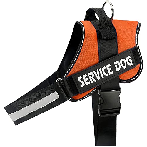 Personalisiertes Hundegeschirr, Personalisiertes Hundegeschirr Mit ID-Namen, Für Den Außenbereich, Reflektierend, Verstellbares Hundegeschirr, Kein Ziehen, Haustiergeschirr, Weste Für Kleine Personalisiertes Hundegeschirr, Personalisiertes Hundegeschirr Mit ID-Namen, Für Den Außenbereich, Reflektierend, Verstellbares Hundegeschirr, Kein Ziehen, Haustiergeschirr, Weste Für Kleine von DTREEL