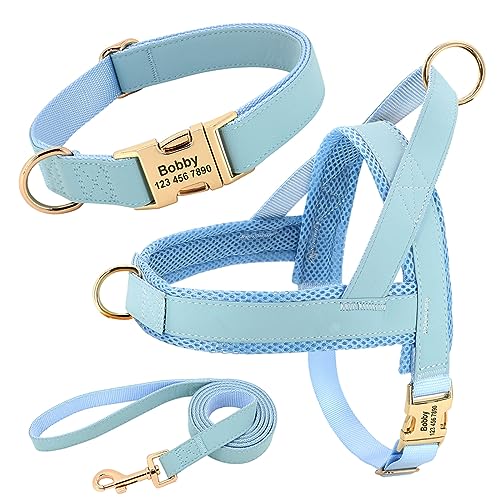 Personalisiertes Hundehalsband-Geschirr-Leinen-Set. Individuelles Hundehalsband-Geschirr-Set. Keine Spannung. Haustier-Geschirr-Weste. Anti-Verlust-Nylon-Hundehalsband-Geschirr-Leinen-Set,Bl Personalisiertes Hundehalsband-Geschirr-Leinen-Set. Individuelles Hundehalsband-Geschirr-Set. Keine Spannung. Haustier-Geschirr-Weste. Anti-Verlust-Nylon-Hundehalsband-Geschirr-Leinen-Set,Bl von DTREEL