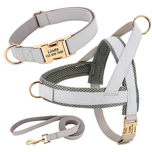 Personalisiertes Hundehalsband-Geschirr-Leinen-Set. Individuelles Hundehalsband-Geschirr-Set. Keine Spannung. Haustier-Geschirr-Weste. Anti-Verlust-Nylon-Hundehalsband-Geschirr-Leinen-Set,Gr von DTREEL