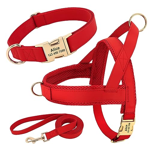 Personalisiertes Hundehalsband-Geschirr-Leinen-Set. Individuelles Hundehalsband-Geschirr-Set. Keine Spannung. Haustier-Geschirr-Weste. Anti-Verlust-Nylon-Hundehalsband-Geschirr-Leinen-Set,Ro von DTREEL