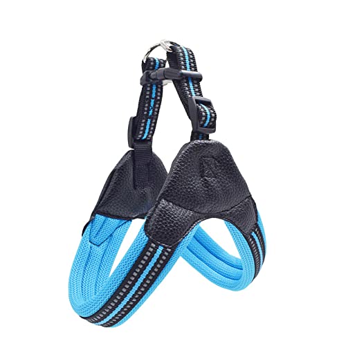 Reflektierendes Nylon-Mesh-Hundegeschirr Für Den Außenbereich, Verstellbares Hundegeschirr, Atmungsaktives Haustiergeschirr Für Chihuahua, Mops, Labrador,Blau,M Reflektierendes Nylon-Mesh-Hundegeschirr Für Den Außenbereich, Verstellbares Hundegeschirr, Atmungsaktives Haustiergeschirr Für Chihuahua, Mops, Labrador,Blau,M von DTREEL