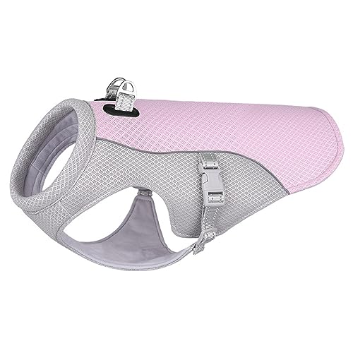 Sommer Cool Mesh Hundekleidung Coole Hundeweste Mittlere Und Kleine Hundebekleidung Outdoor-Haustier-Kühljacke Atmungsaktiv Großer Hundegurt,A,S von DTREEL