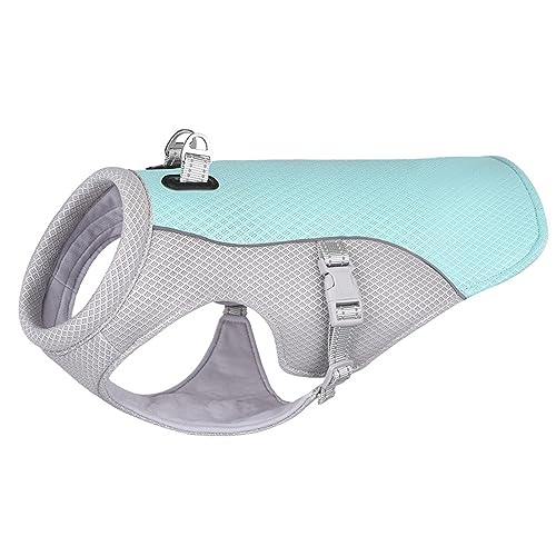 Sommer Cool Mesh Hundekleidung Coole Hundeweste Mittlere Und Kleine Hundebekleidung Outdoor-Haustier-Kühljacke Atmungsaktiv Großer Hundegurt,Blau,L von DTREEL