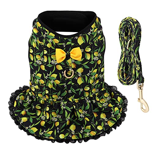 Sommer-Haustierkleidung, Kleid, Niedlicher Aufdruck, Obstmuster, Chihuahua, Mops, Hund, Katze, Geschirr, Leine, Set, Kleiner, Mittelgroßer Hund, Verstellbares Geschirr, Weste Für Yorkshire, Sommer-Haustierkleidung, Kleid, Niedlicher Aufdruck, Obstmuster, Chihuahua, Mops, Hund, Katze, Geschirr, Leine, Set, Kleiner, Mittelgroßer Hund, Verstellbares Geschirr, Weste Für Yorkshire, von DTREEL