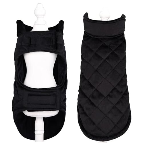Warme Winter-Hundejacke, Modische, Verdickte, Warme Samt-Hundejacke, Winddichte Outdoor-Haustierjacke, Kleine, Mittelgroße Und Große Hundejacke, Weste,A,2XL – Brustumfang 60–65 cm Warme Winter-Hundejacke, Modische, Verdickte, Warme Samt-Hundejacke, Winddichte Outdoor-Haustierjacke, Kleine, Mittelgroße Und Große Hundejacke, Weste,A,2XL – Brustumfang 60–65 cm von DTREEL